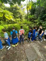 ***Giardinieri in erba***
Visita all'orto botanico di Napoli